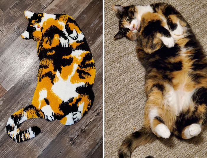 "I Made A Rug Of My Cat. I Think It Looks A Little Derpy But It Looks Pretty Close For Being A Rug!"