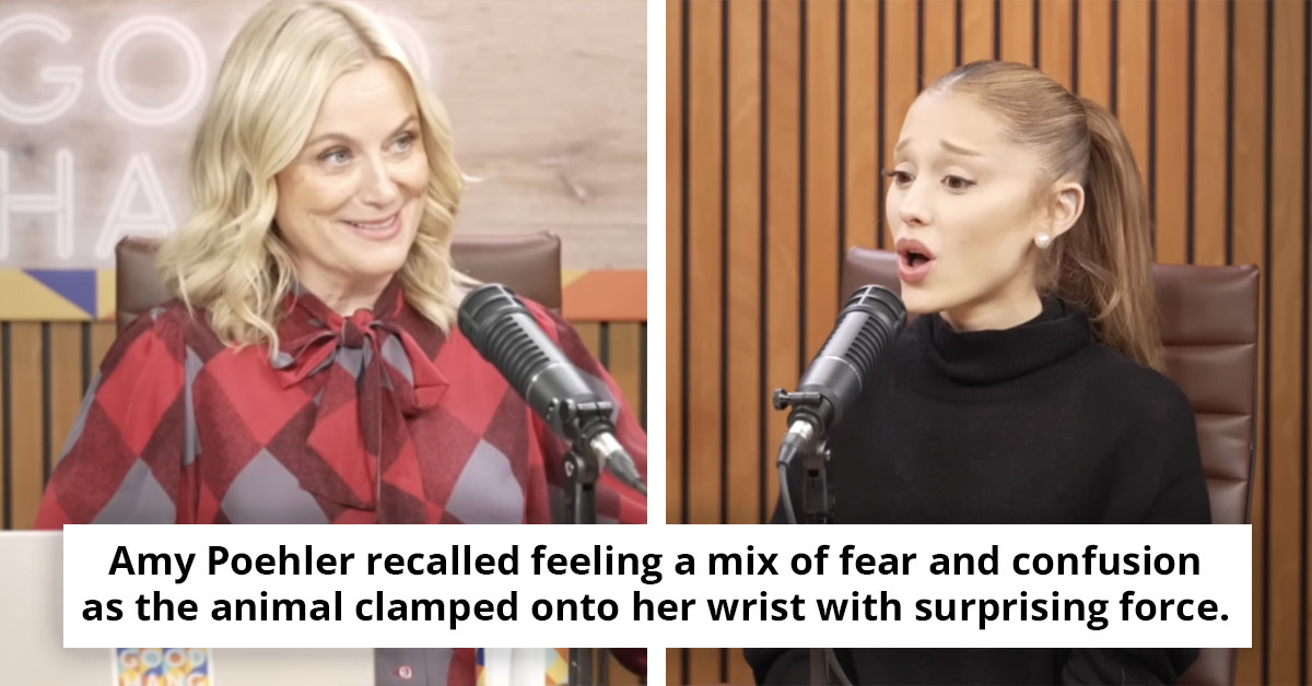 Amy Poehler shares encounter with chimpanzee reacting to her 'blond hair' in a surprising twist