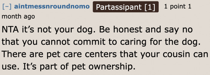 The cousin needs to learn what pet ownership entails.