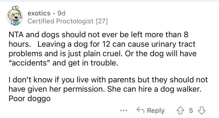 OP's sister can hire someone to take care of her dog.