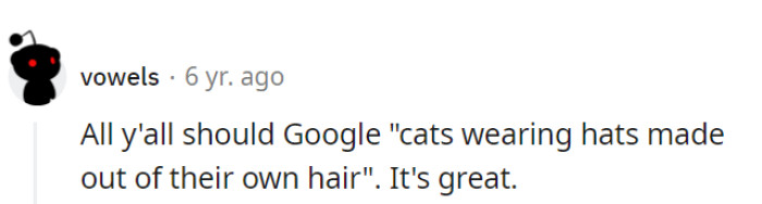 That's one purrfectly quirky search recommendation!
