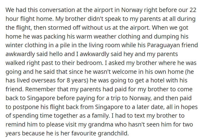At the Norwegian airport before a long flight home, they had a tense conversation. Despite their parents' efforts and financial support, their brother claimed he wasn't welcome, stormed off, and headed to a hotel with his friend upon arrival home, skipping family time.