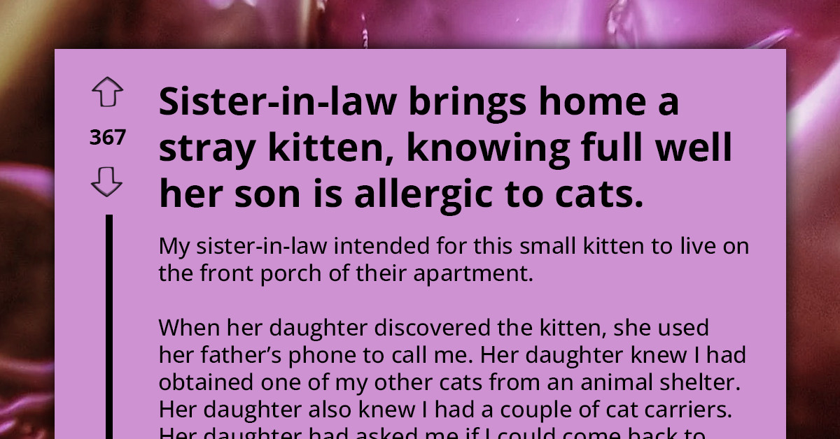 Selfish Mom Secretly Adopts Kitten Despite Son’s Deadly Cat Allergy, But One Bold Cat Parent Steps In And Saves The Day