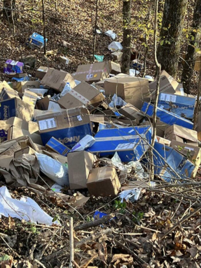 "The FedEx Deliveries In My Area Frequently Get Lost. Today Someone Found 300-400 Boxes In A Ravine"