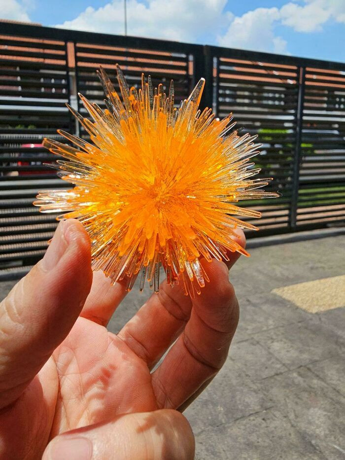 "I Spent 6 Weeks Growing This Cluster Of Crystals From A Common Fertilizer Called Monoammonium Phosphate. Looks Like A Starburst!"
