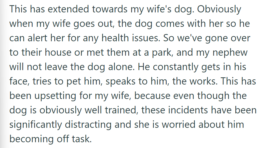 The nephew's fascination with dogs extends to OP's wife's service dog, causing distraction and concern for her.