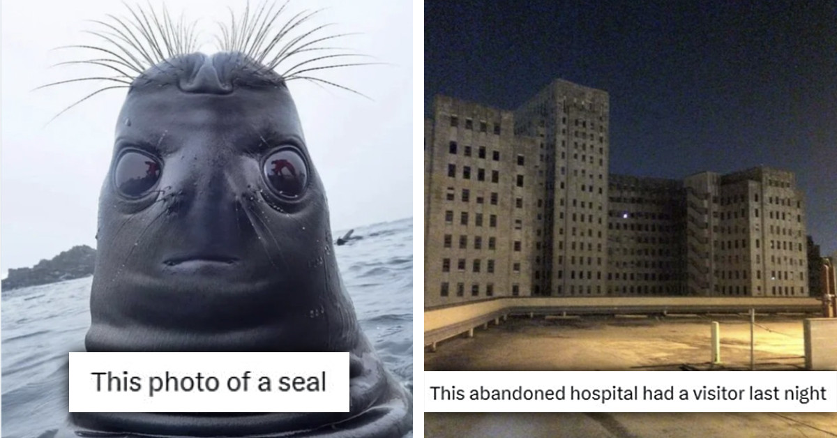 40 Of The Creepiest Tweets From This Dedicated "Creepy" Twitter Account