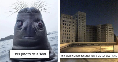 40 Of The Creepiest Tweets From This Dedicated "Creepy" Twitter Account