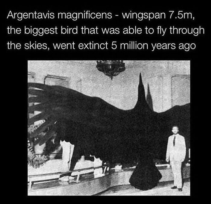 "I’m Glad They Are Extinct"