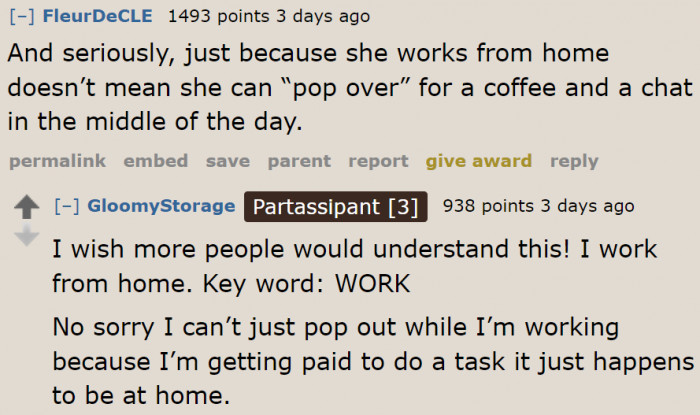 Working from Home Doesn't Mean You Can Always Take Breaks to Visit Your Friends.