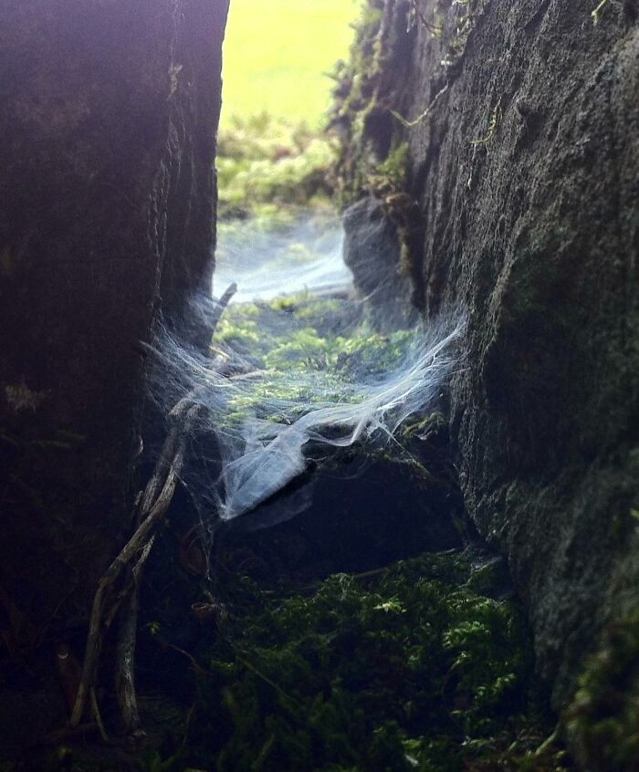"This Picture I Took Through The Gap In A Wall Looks Like A Forgotten Land"