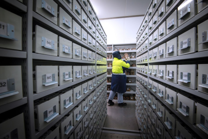 Workers and seed storage containers inside the Millennium Seed Bank vault