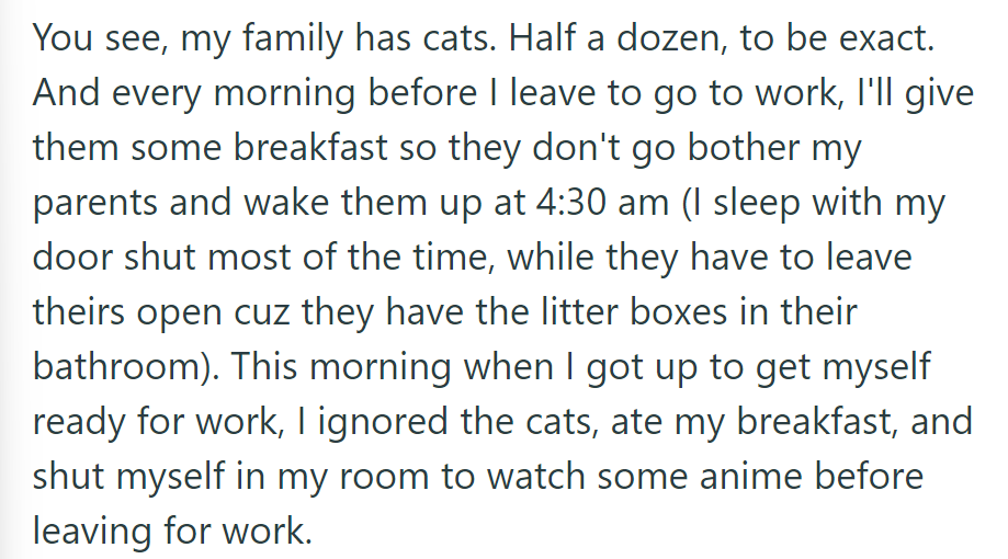 OP typically feeds the family's six cats to prevent early wake-ups. One morning, he ignored the cats and watched anime before work.
