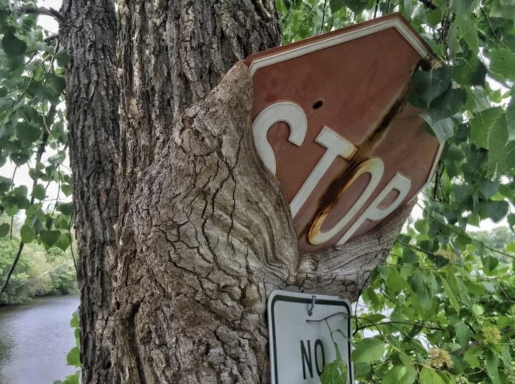 13. “Tree hungry. Tree eat sign.”