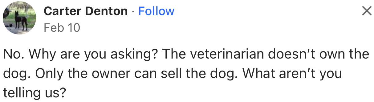 “The veterinarian doesn’t own the dog. Only the owner can sell the dog.”