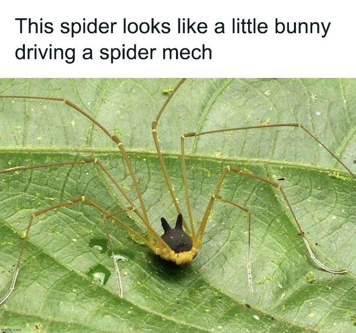 14. Bunny Spider Mech, Boss Type Enemy, When Killed You Keep The Bunny As A Pet, +50 Ranged Attack, +100 Melee Attack