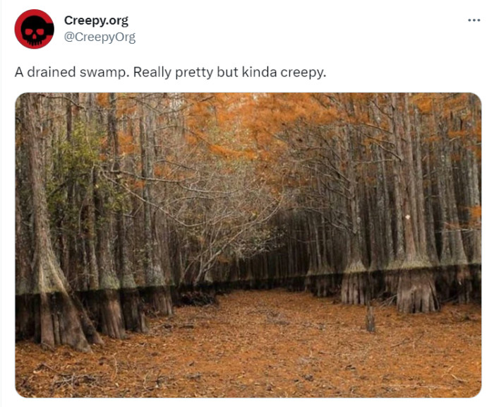 30. How do you even drain a swamp?