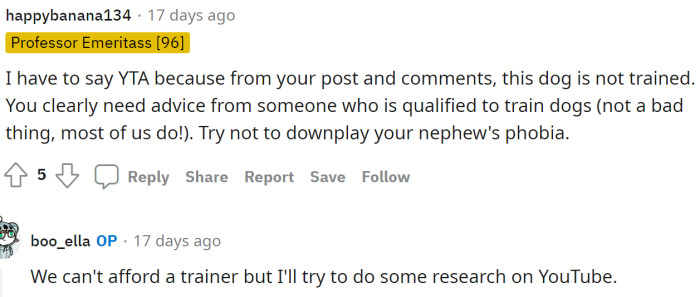 People are suggesting that she needs to train her dog much better and prevent the dog from jumping on people, making it more comfortable around others in general.