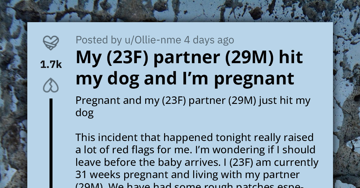 Mom-To-Be Rethinks Relationship in Light of Partner’s Abusive Behavior Towards Her Dog