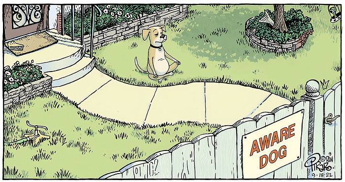 9. This dog might guide you to the right path.