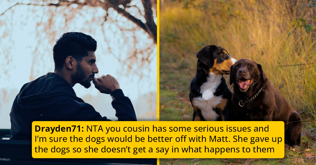Redditor Adopts Her Cousin's Dogs But Wants To Rehome Them With The Cousin's Ex-BF