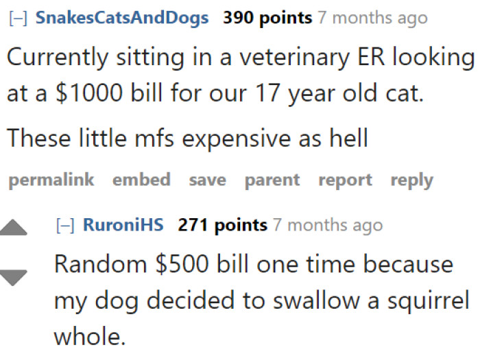 Some cat owners started sharing how much money they're shelling out because of their beloved furballs.
