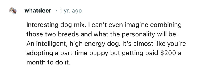 “It’s almost like you’re adopting a part-time puppy but getting paid $200 a month to do it.”