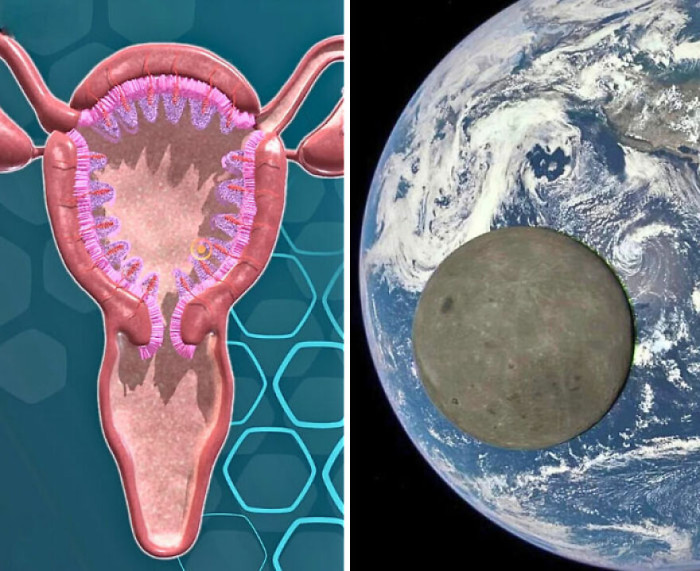 "Women’s Periods Synced with the Moon Until 2010. LEDs May Have Disrupted It, Says a New Study"