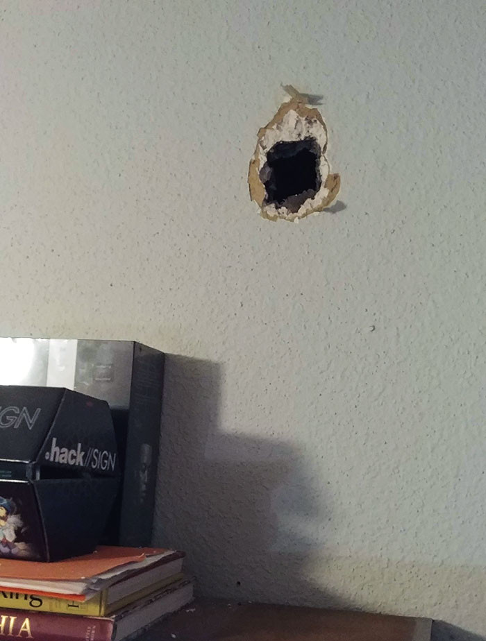16. Neighbor shoots a hole through this person's bedroom