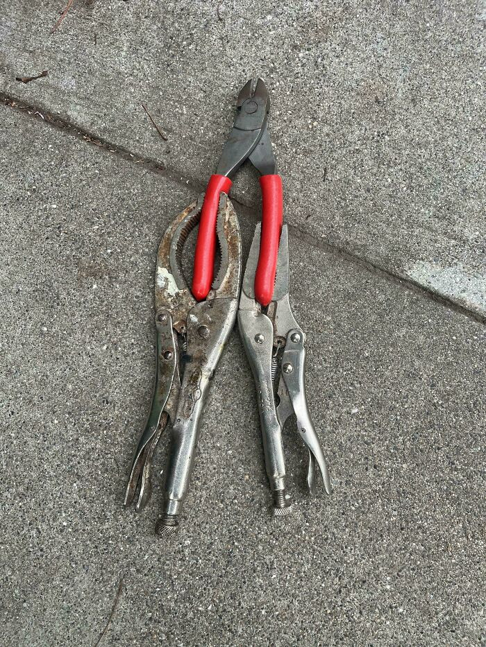 "This Worked"