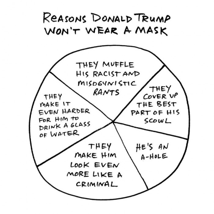 15. Reasons Why Donald Trump Is an Anti-Masker