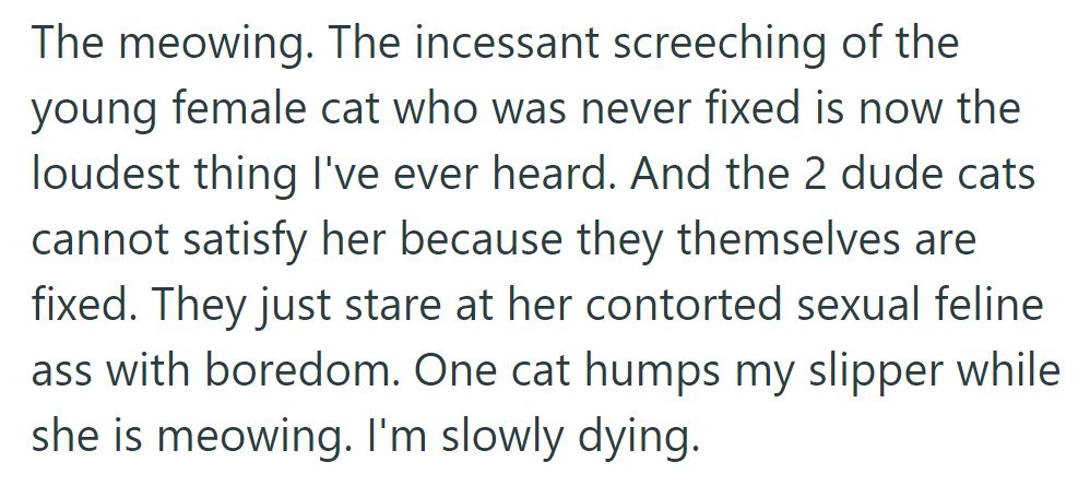 The unrelenting meowing of the unfixed female cat disrupts the house, to everyone's frustration and boredom.