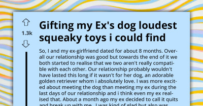 Redditor Executes Epic Clapback By Leaving Ex-Girlfriend With The Perfect ‘Parting Gift’ After Getting Dumped