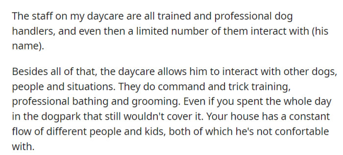 Daycare has trained handlers, but few work with the dog due to his discomfort with strangers and children. Daycare offers essential socialization, while home has constant unfamiliar people and kids, making him uncomfortable.