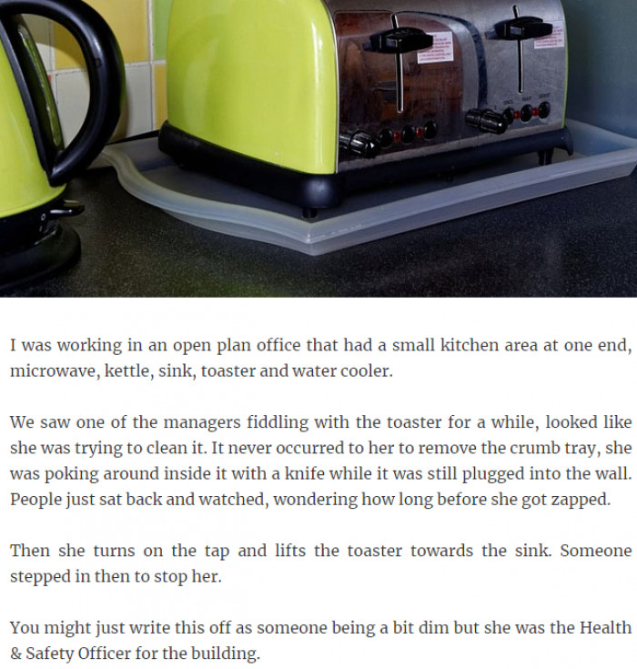 2. The health and safety officer