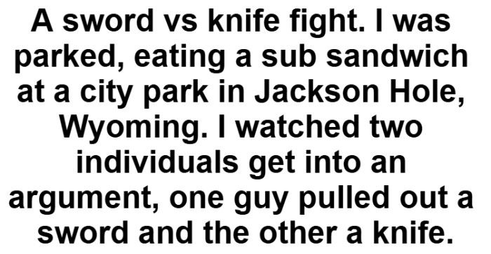 29. Comment by Redditor westis4me