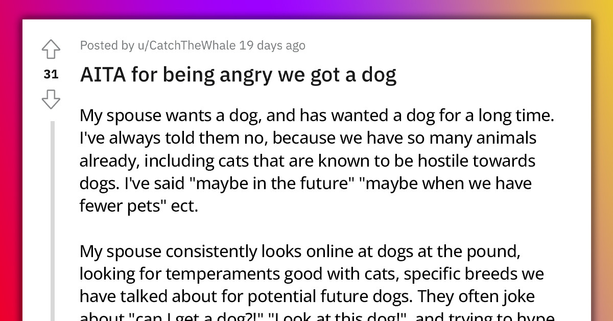 Redditor Gets Angry At Their Spouse For Getting A Dog Even Though They Didn't Agree To It