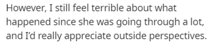 OP feels terrible about the whole situation, and now she's seeking guidance from Reddit