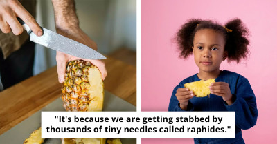 Millions Shocked To Discover The Reason Pineapple Makes Their Mouth Tingle