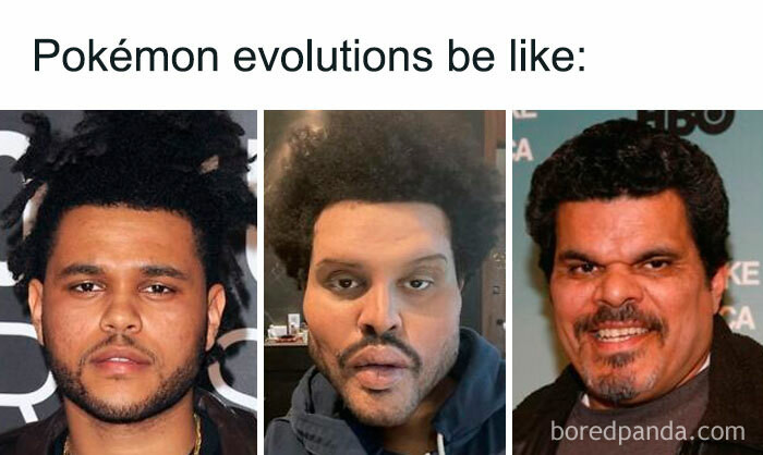 22. Pokémon Evolutions