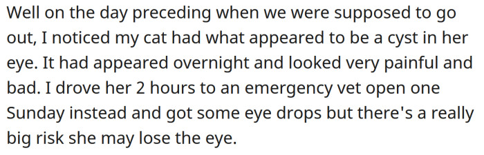 On the day before the dinner, the OP noticed a lump in her cat's eye.