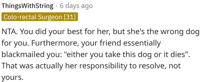 She's the wrong dog for OP