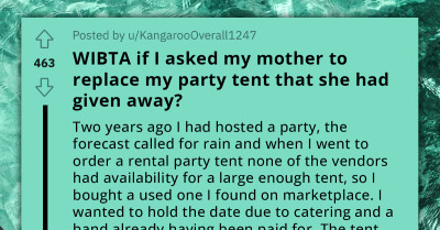 Redditor Considers Requesting Compensation From Mother Over The Unexpected Disappearance Of A High-End Property In Their Mothers Care