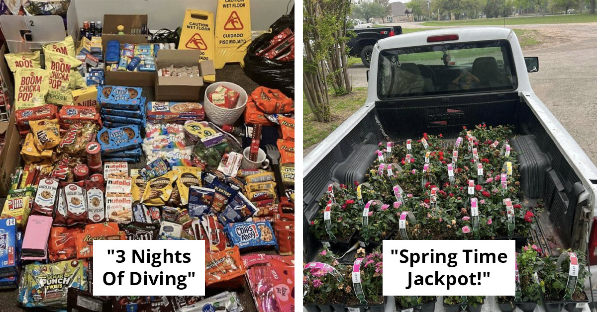 51 Discoveries People Pulled From What Others Threw Away