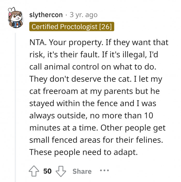 #11 They shouldn't let their cat roam on other people's fences specially at night.