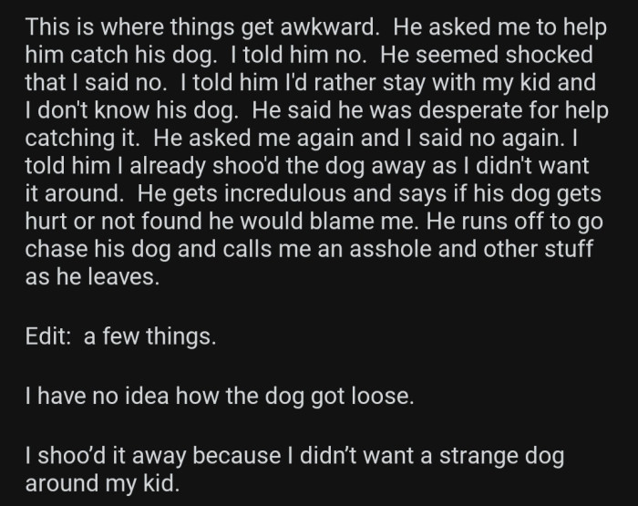 The dog owner was shocked after OP refused to help him and called Op an a-hole, which made him doubt how he handled the situation.