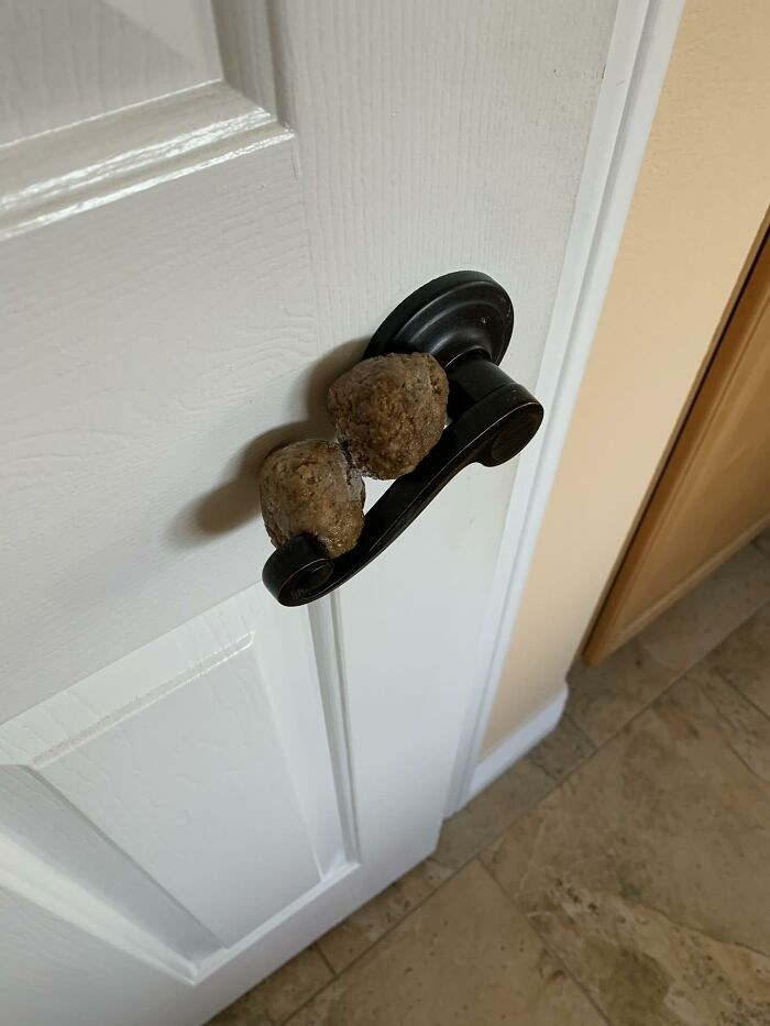 Mine Is Called “He Dropped A Bag Of Frozen Meatballs On The Floor - And Still Perplexed As To How These Two Got Here And Missed