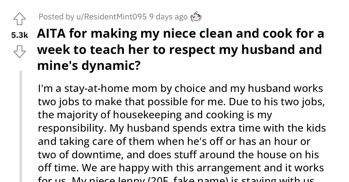 Redditor Teaches Her Niece A Lesson About Constantly Harassing Her Husband About Not Doing Enough Chores