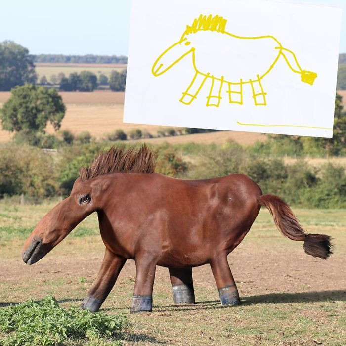 13. When a 6-year-old draws a horse
