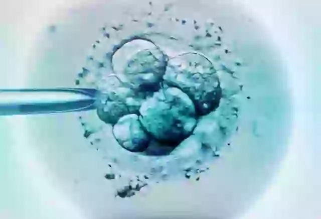 Many Are Questioning the Ethics of Storing Frozen Embryos for a Long Time